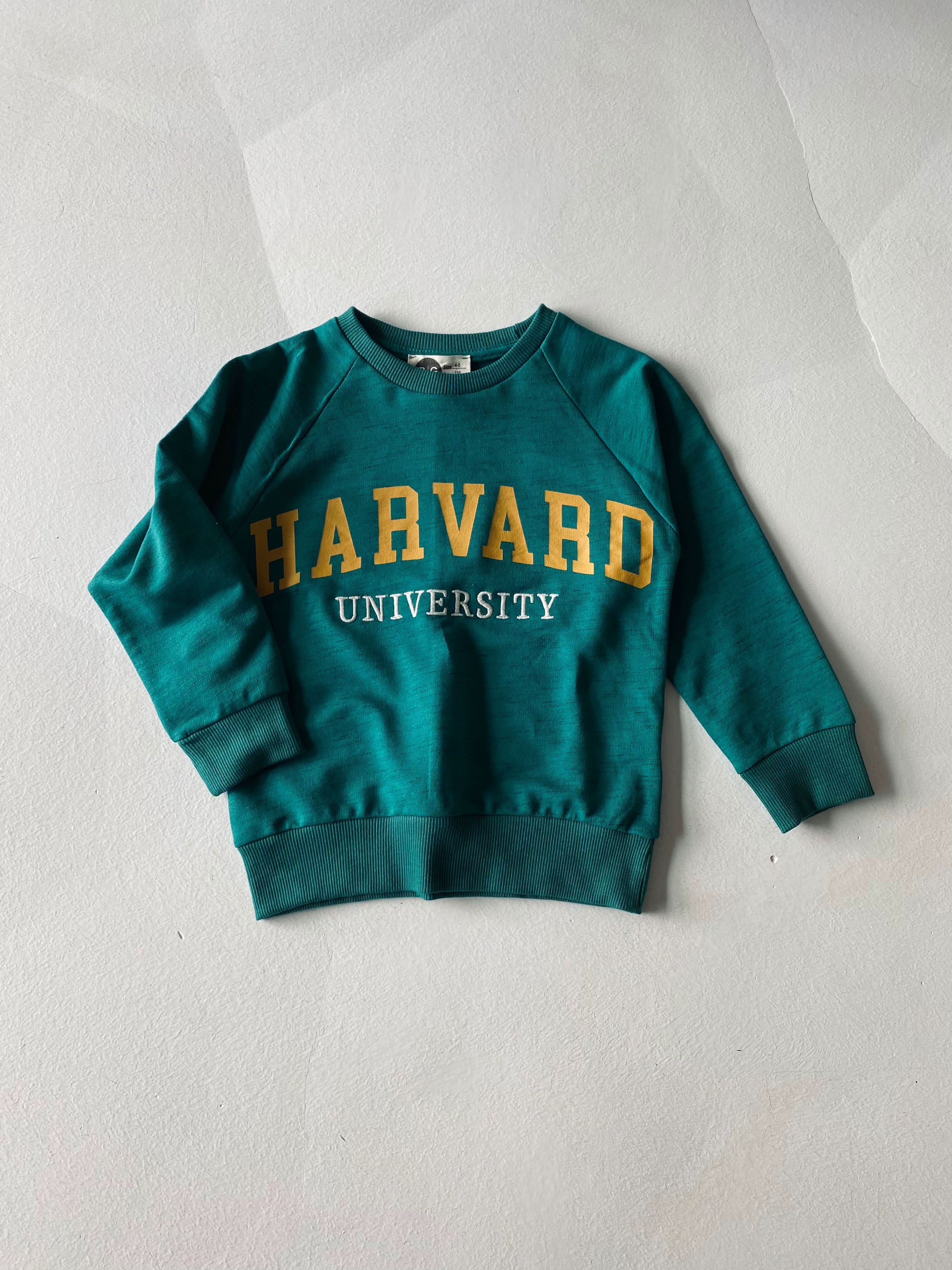 Kids Unisex Embroidered Printed Sweatshirt - Cozy & Stylish Pullover for Boys & Girls - Perfect for School, Playdates & Family Outings