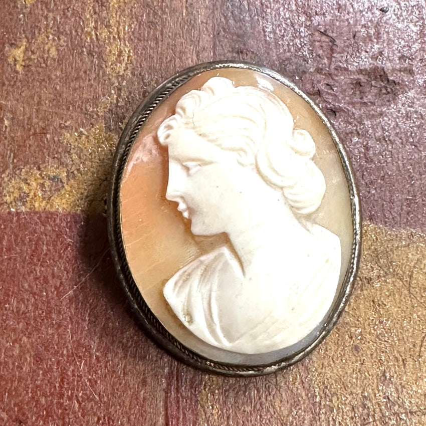 Vintage Italian Carved Shell Cameo Pin Pendant - Elegant Antique Jewelry for Women, Perfect for Weddings, Parties & Special Occasions