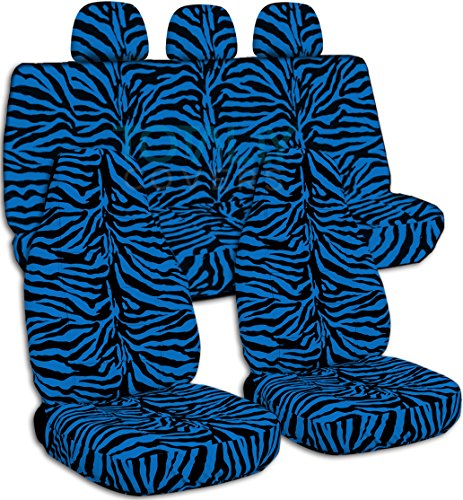 Blue Zebra