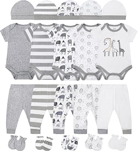 Grey Zoo