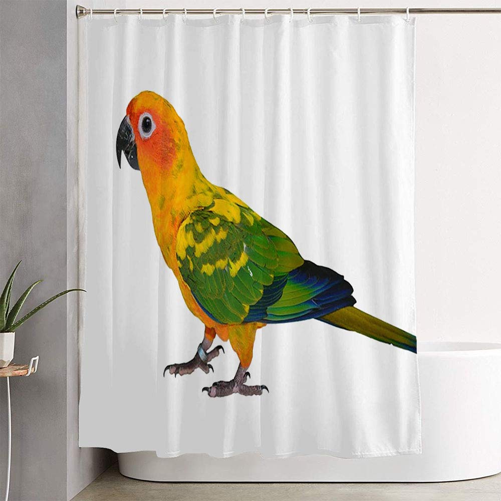 Waterproof Fabric Shower Curtain with Sun Conure Parrot Design - 60x72 Inch Bathroom Decor for Tropical & Nature Lovers | Perfect for Modern Bathrooms, Guest Baths & Spa Retreats