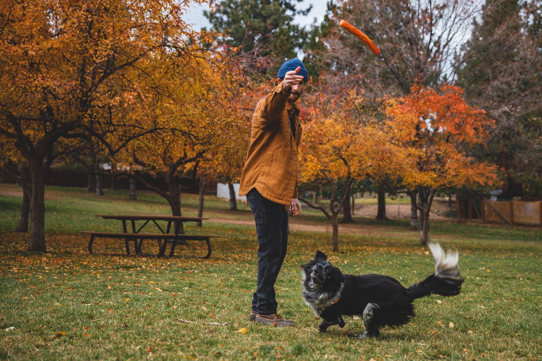 Gnawt a Stick® Morado Orquídea (Purple Orchid) Dog Toy - Floating Fetch Chew Toy for Dogs by Ruffwear® - Perfect for Outdoor Play, Water Activities & Teething Puppies