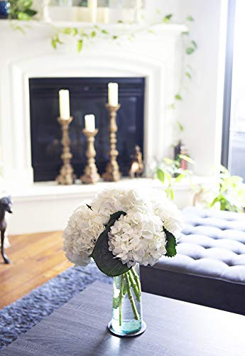 5 Fresh White Hydrangea Flowers in Vase - Farm Fresh Cut Floral Arrangement by Arabella Bouquets | Perfect for Birthday Gifts, Anniversary, Get Well Soon, Sympathy & Home Decor | Wedding Centerpiece, Table Decor, Living Room Accent
