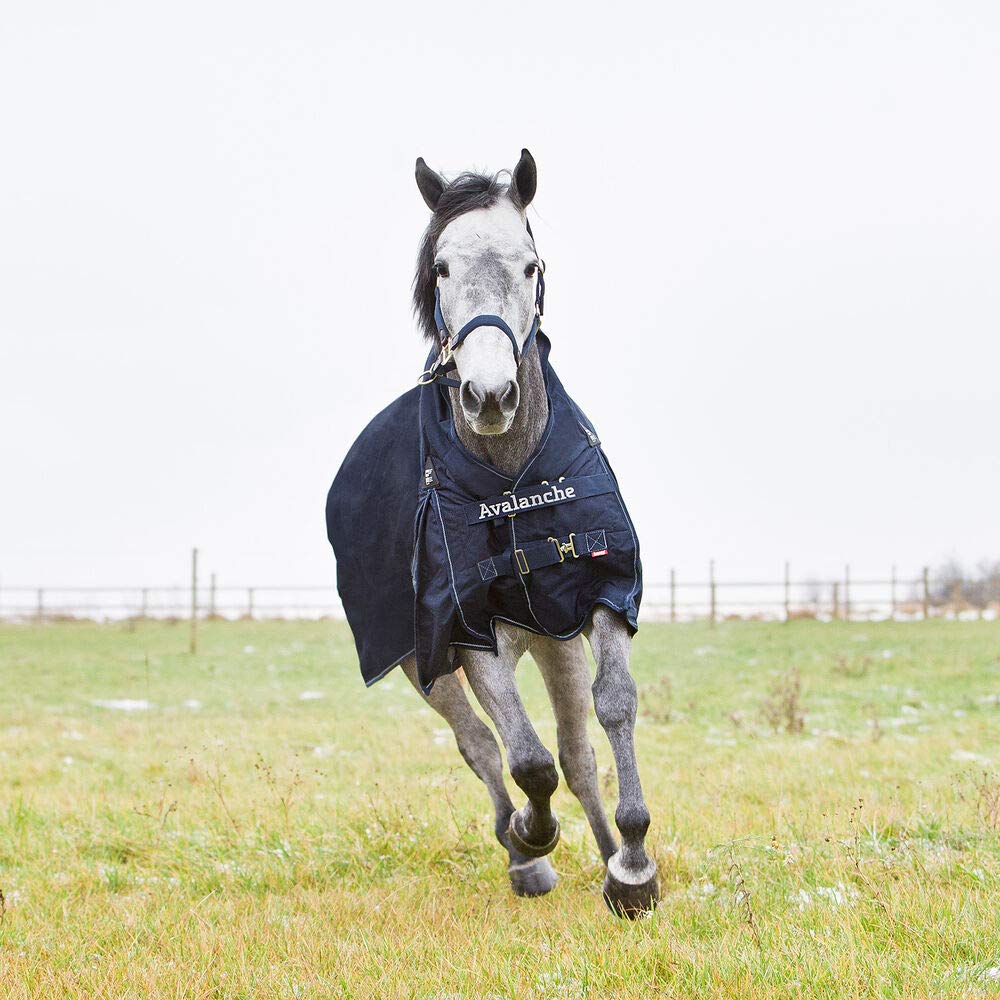 HORZE Avalanche 1200D Ripstop High Neck Medium Weight Waterproof Horse Turnout Blanket (150g Fill) - Peacoat Dark Blue - 75 inch - Ideal for Cold Weather Horse Riding and Stable Use