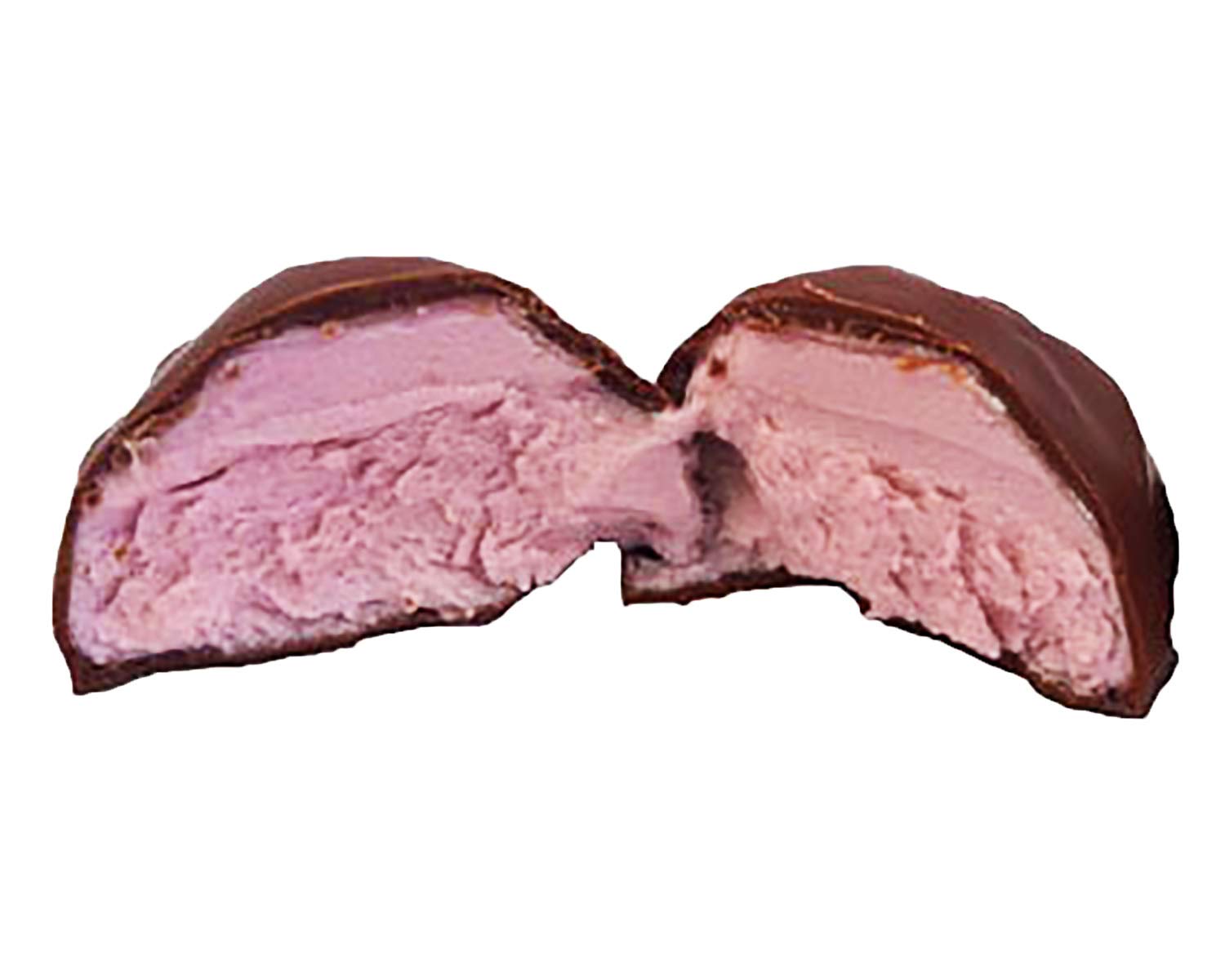 Premium Owyhee Idaho Huckleberry Chocolate Candy Bars - 18 Count Pack | Delicious Natural Berry Flavor | Perfect for Gifts, Snacking & Dessert Toppings