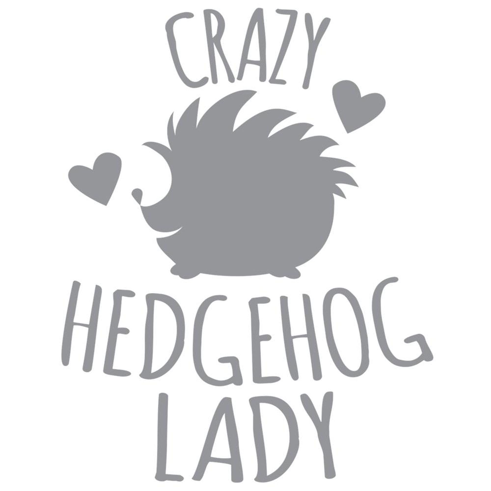 Crazy Hedgehog Lady 20 oz Ceramic Coffee Mug - Large Insulated Tea Cup for Hedgehog Lovers - Perfect for Home, Office & Gifts