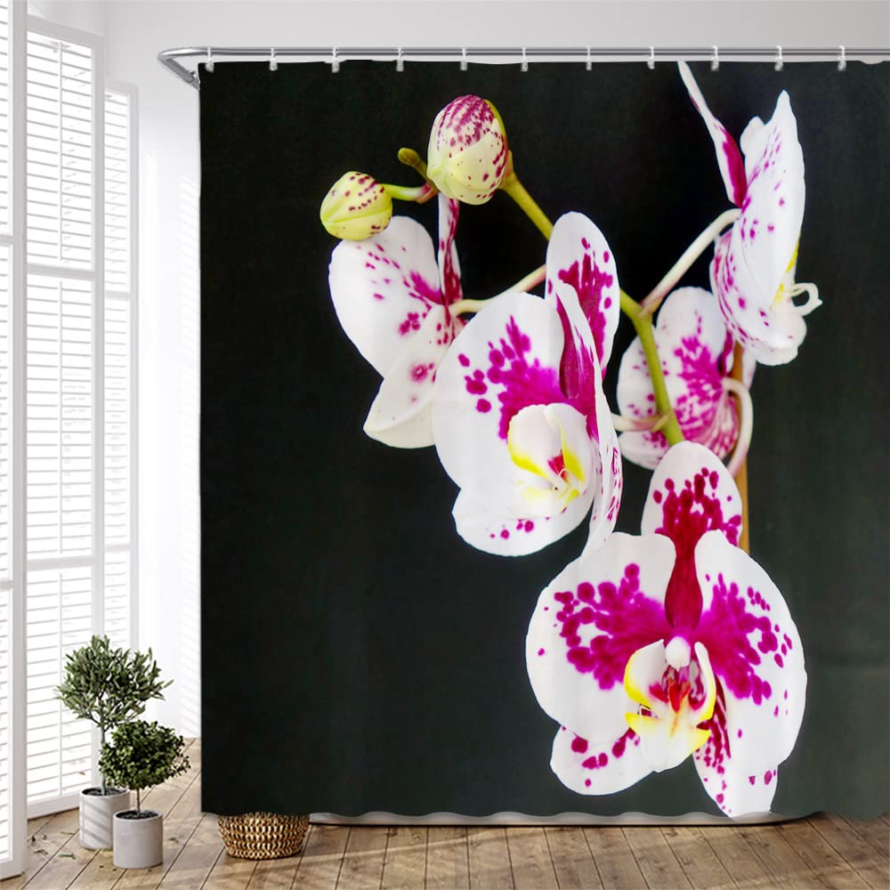 White and Purple Phalaenopsis Orchid Shower Curtain - Black Background Floral Bathroom Decor Set with Hooks, 35x70 Inch, Polyester Fabric - Perfect for Modern Bathrooms, Spa Retreats & Home Decor