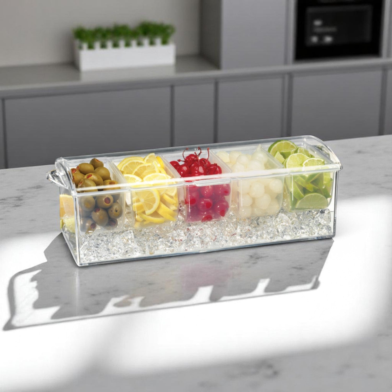 Premium Acrylic Condiment Tray for Parties - Perfect for BBQ, Picnics & Entertaining - Durable Ice Tray for Sauces, Dips & Toppings