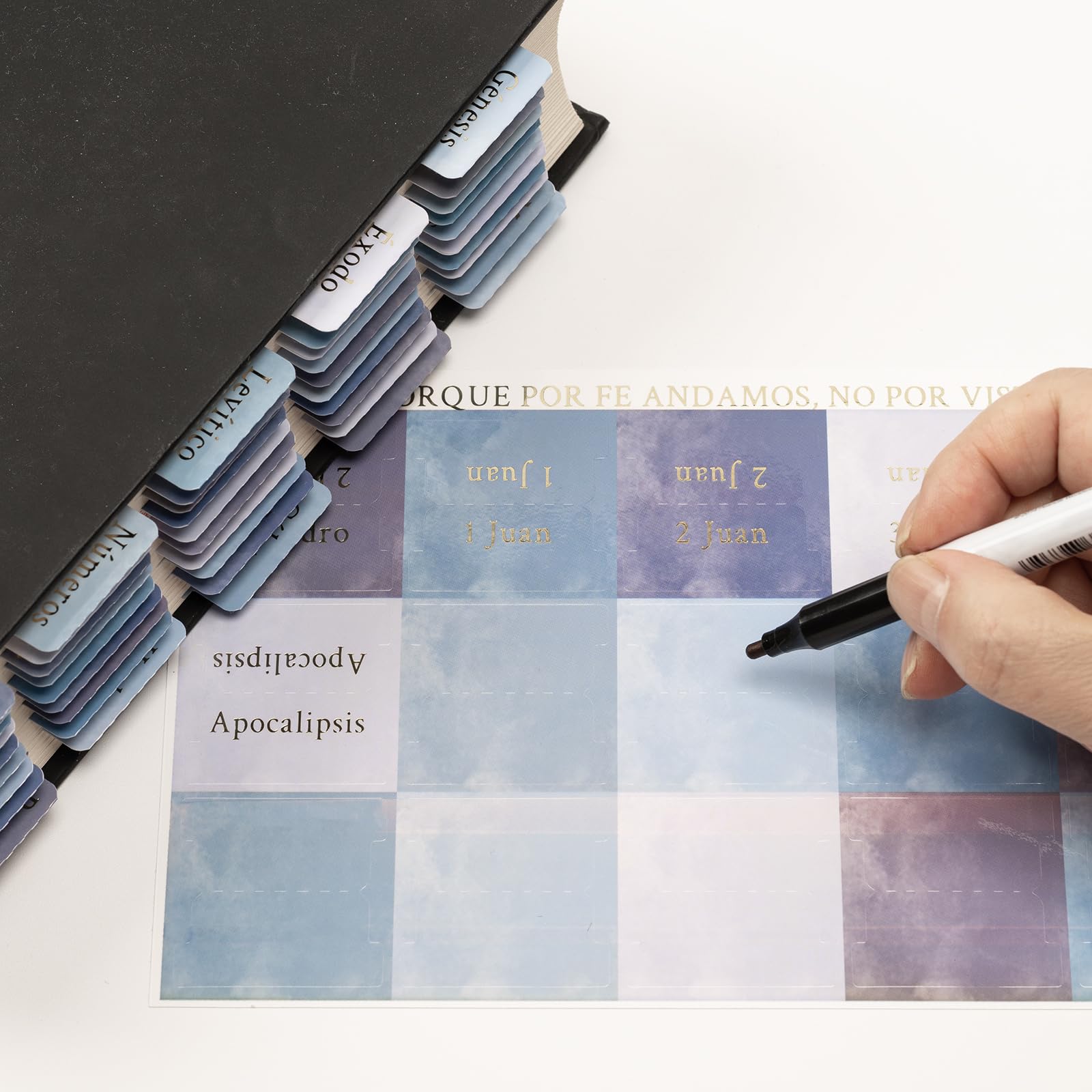 Lumintutu Laminated Bible Tabs - Large Print Bible Study & Journaling Supplies for Women & Men | Old & New Testament Index Tabs | Christian Gift for Bible Study Groups, Church Events & Personal Devotion (Spanish, Watercolor Blue)