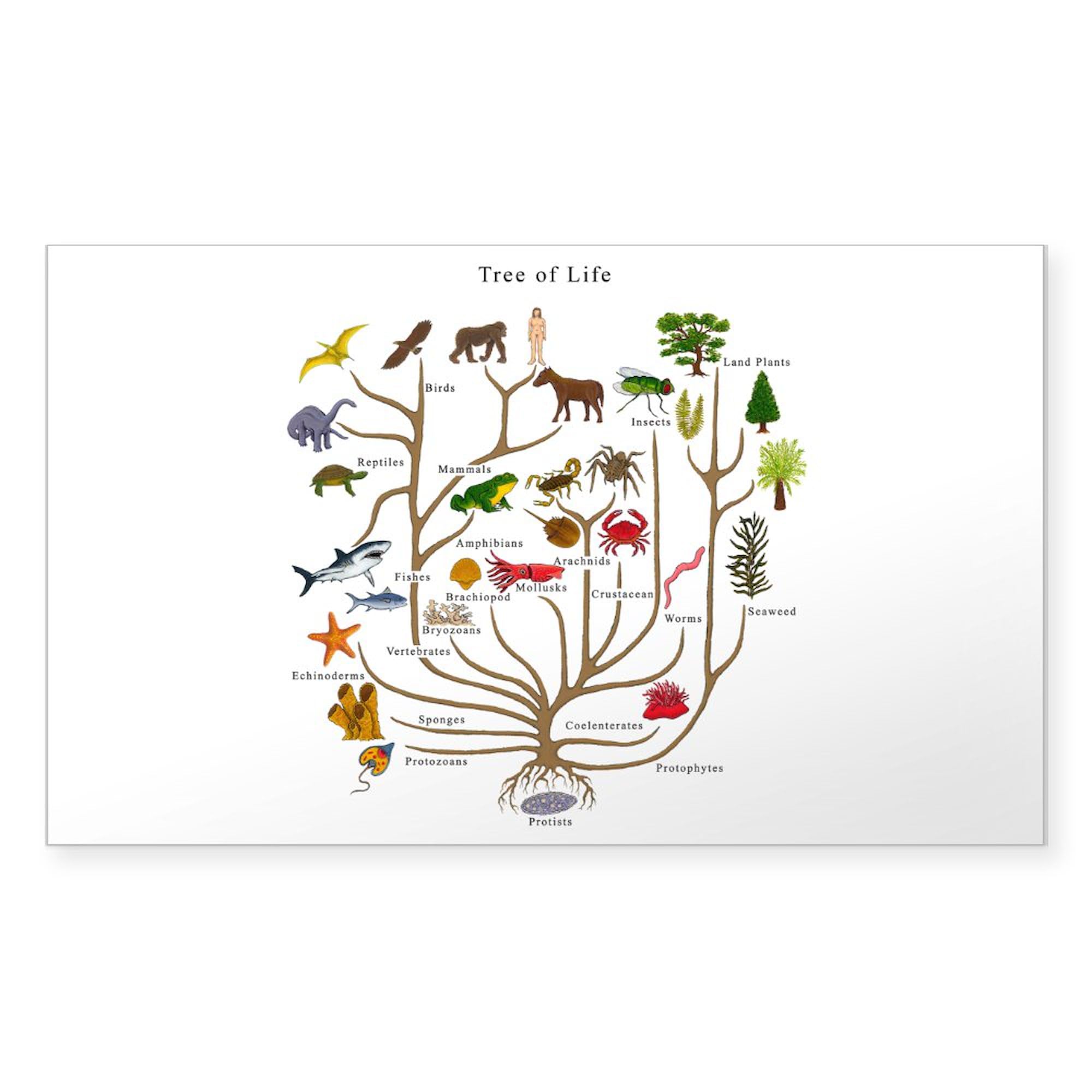 Tree of Life Rectangle Sticker - Durable Car Decal & Bumper Sticker for Cars, Laptops, Windows - Waterproof Vinyl Decoration for Personalization & Spiritual Inspiration