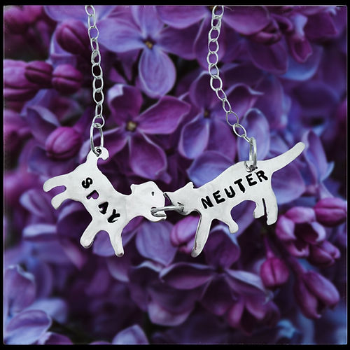 Christy Robinson Spay and Neuter Awareness Pet Lover Necklace - Perfect Gift for Veterinarians & Animal Rescue Volunteers