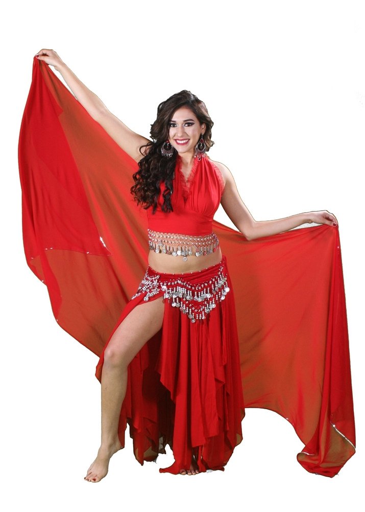 Belly Dance Costume Set for Women - Elegant Skirt, Top, Veil & Hip Scarf | Professional Performance Outfit for Dance Shows, Parties & Halloween