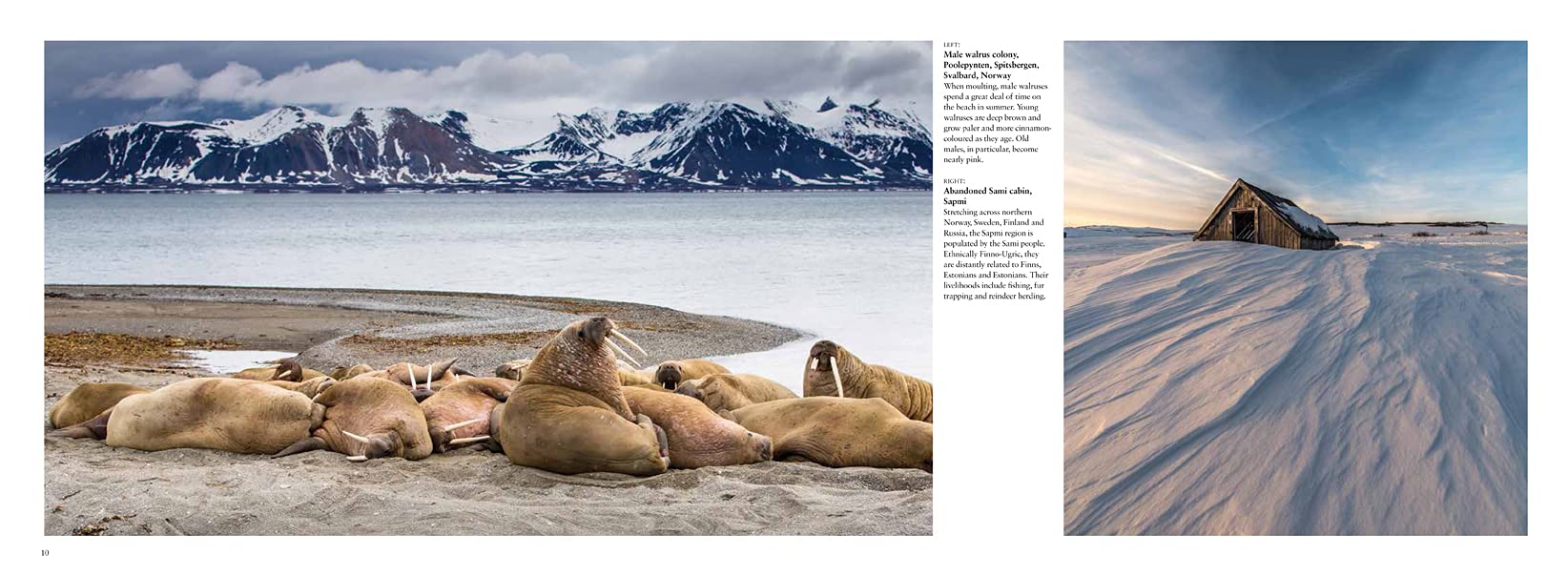 Arctic: Life Inside the Arctic Circle - Stunning Travel Photography Book of Polar Landscapes & Wildlife - Perfect for Nature Lovers, Coffee Table Decor & Travel Inspiration