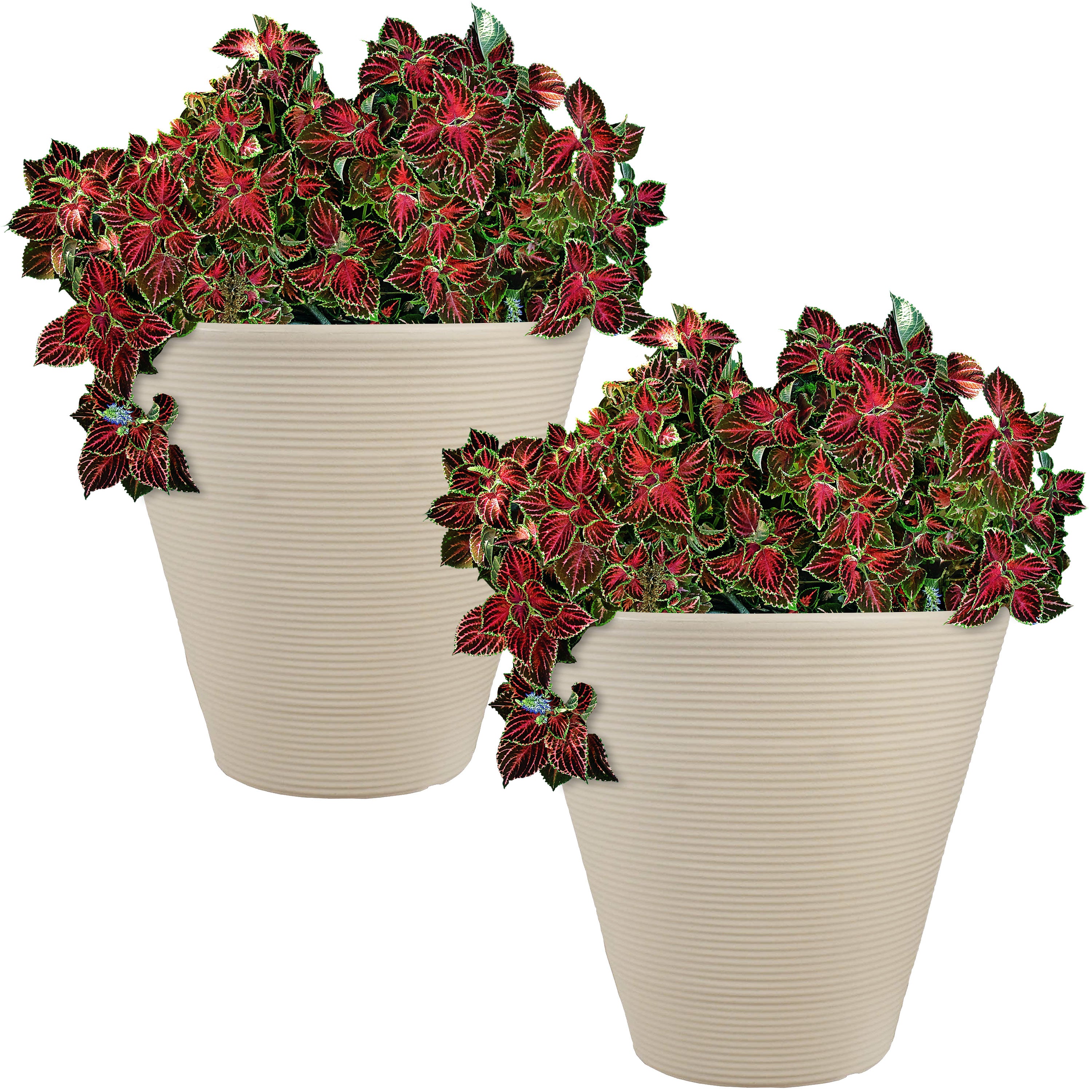 Sunnydaze Walter Outdoor Planter - Antique White 15.5 Inch - Decorative Garden Flower Pot for Patio, Porch & Backyard Decor