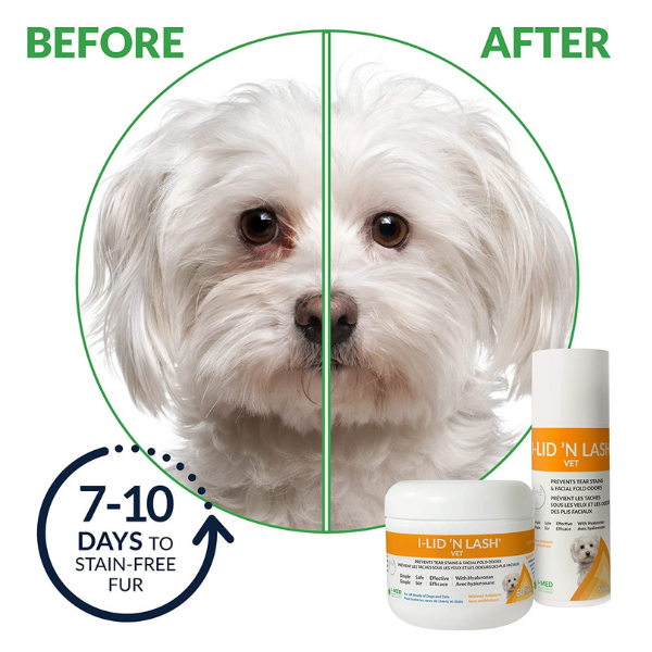 I Lid 'N Lash Hygiene Vet Hydrating Cleansing Wipes (60 Count) - Gentle Eye & Lash Cleanser for Humans & Pets - Perfect for Daily Hygiene, Makeup Removal & Allergy Relief