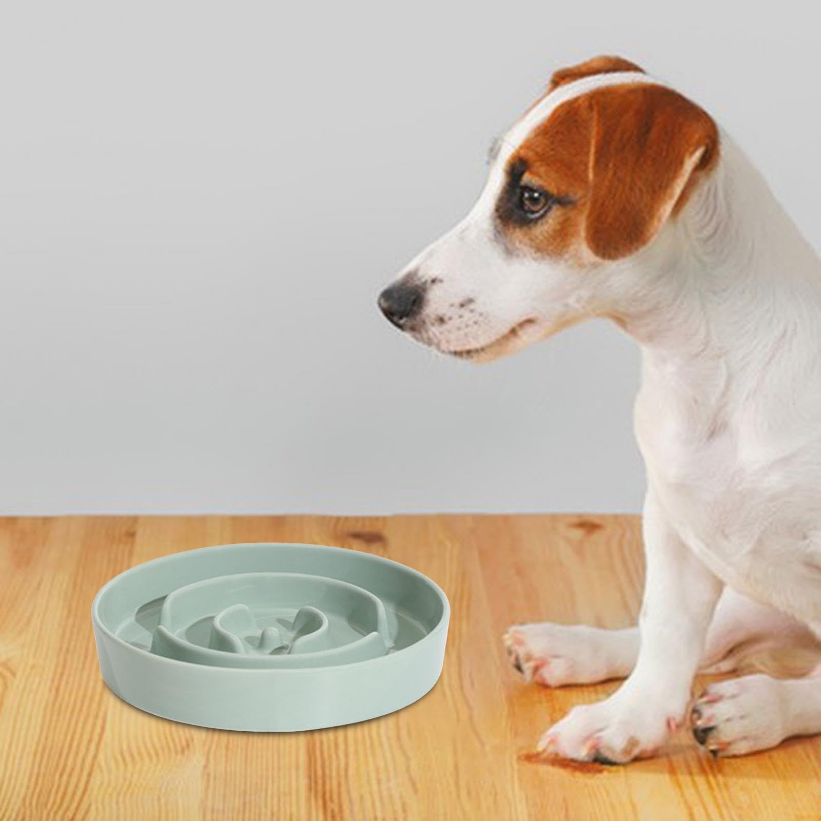 Enakshi Slow Feeder Dog Bowl - Puzzle Food Plate for Dogs & Cats, Anti-Gulping Pet Feeder Dish, Light Green 21cm - Perfect for Fast Eaters, Mealtime Enrichment & Portion Control