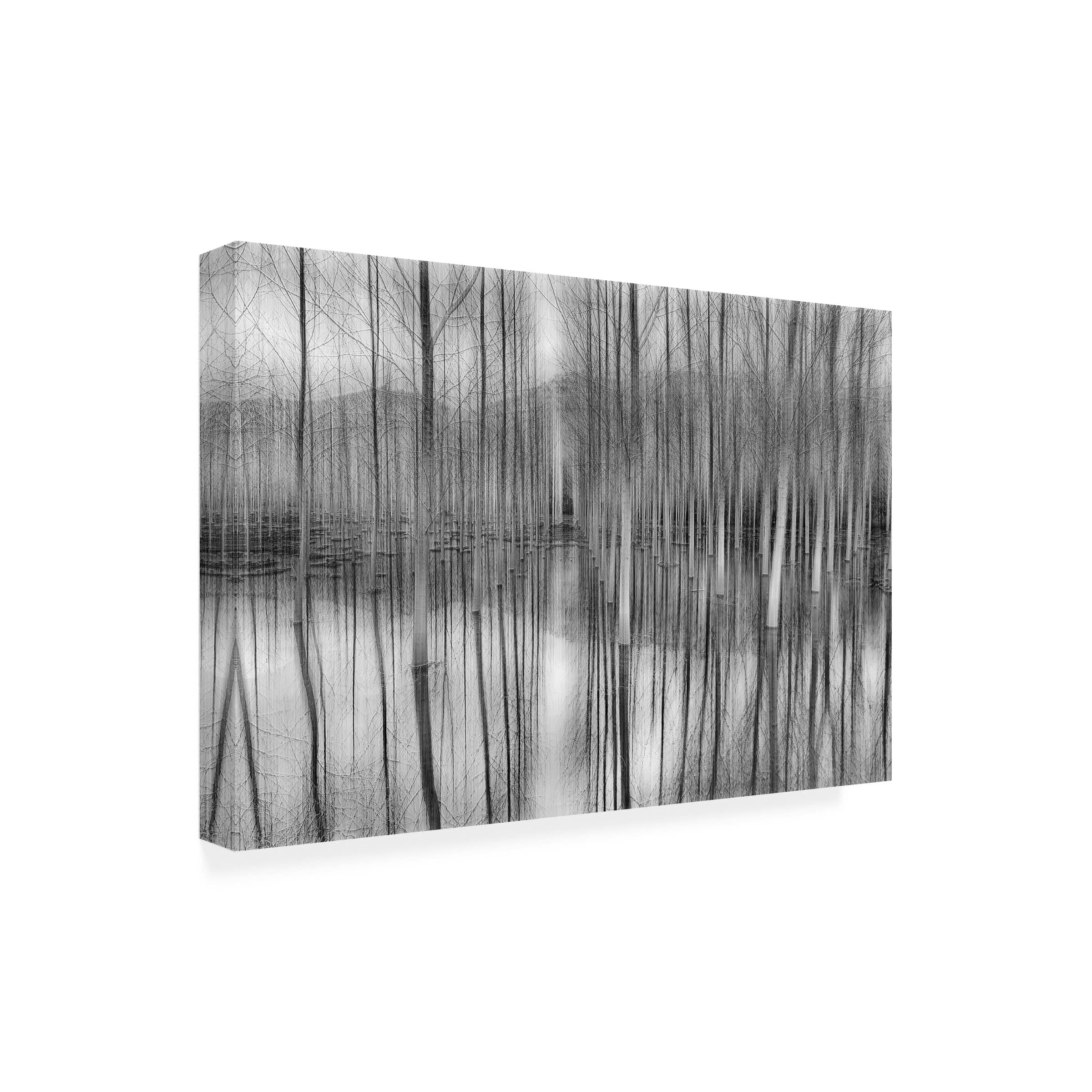 Trademark Fine Art 'Reflections' Canvas Wall Art by Fran Osuna - Modern Abstract Painting for Living Room, Bedroom & Office Decor