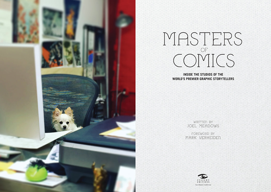 Best Comic Books for Adults & Kids - Masters of Comics Collection | Perfect for Gifts, Collecting & Reading