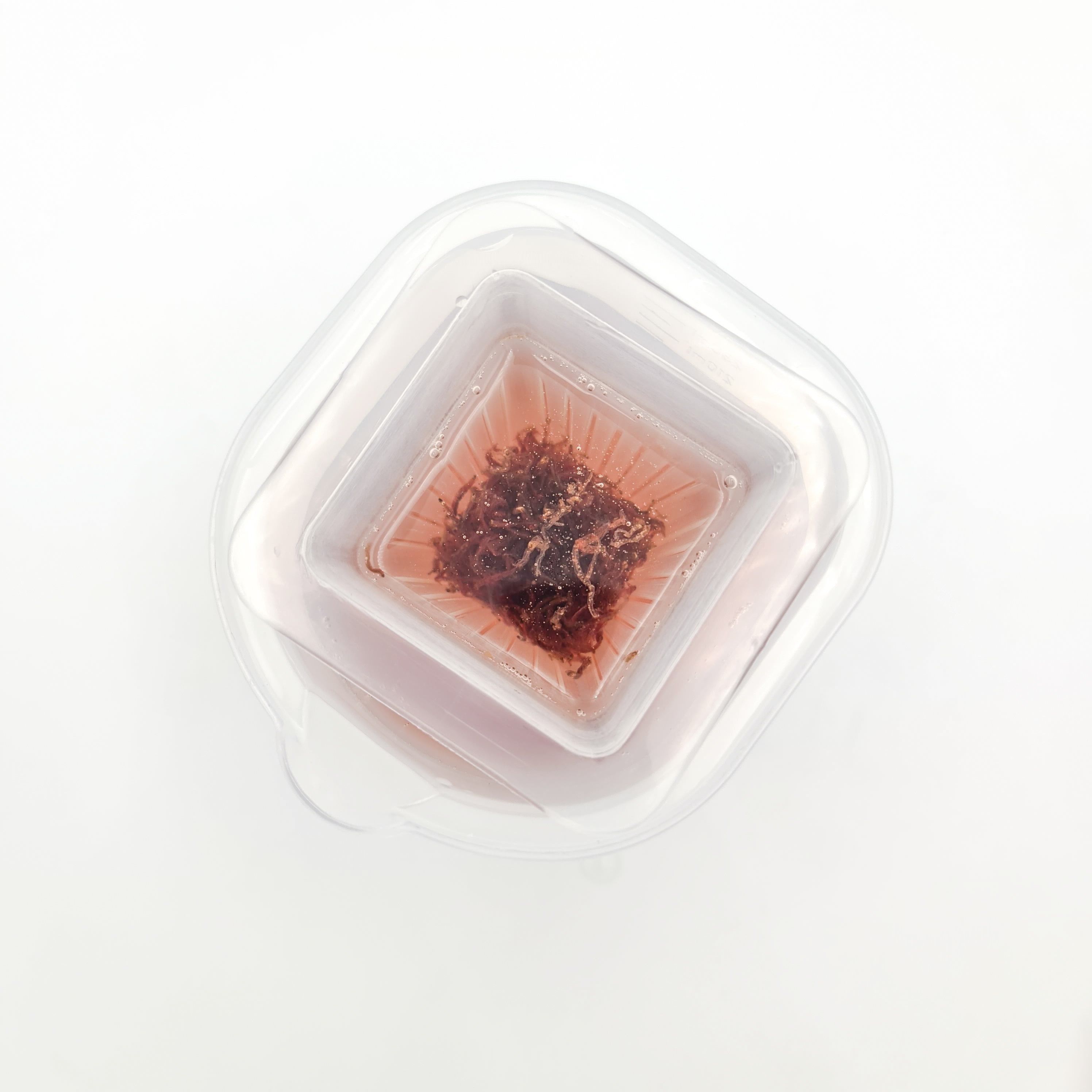 iLONDA Floating Red Worms Feeding Cup for Aquarium Fish - Perfect for Betta, Goldfish & Tropical Fish Feeding - Easy-to-Use Fish Food Dispenser for Freshwater & Saltwater Tanks