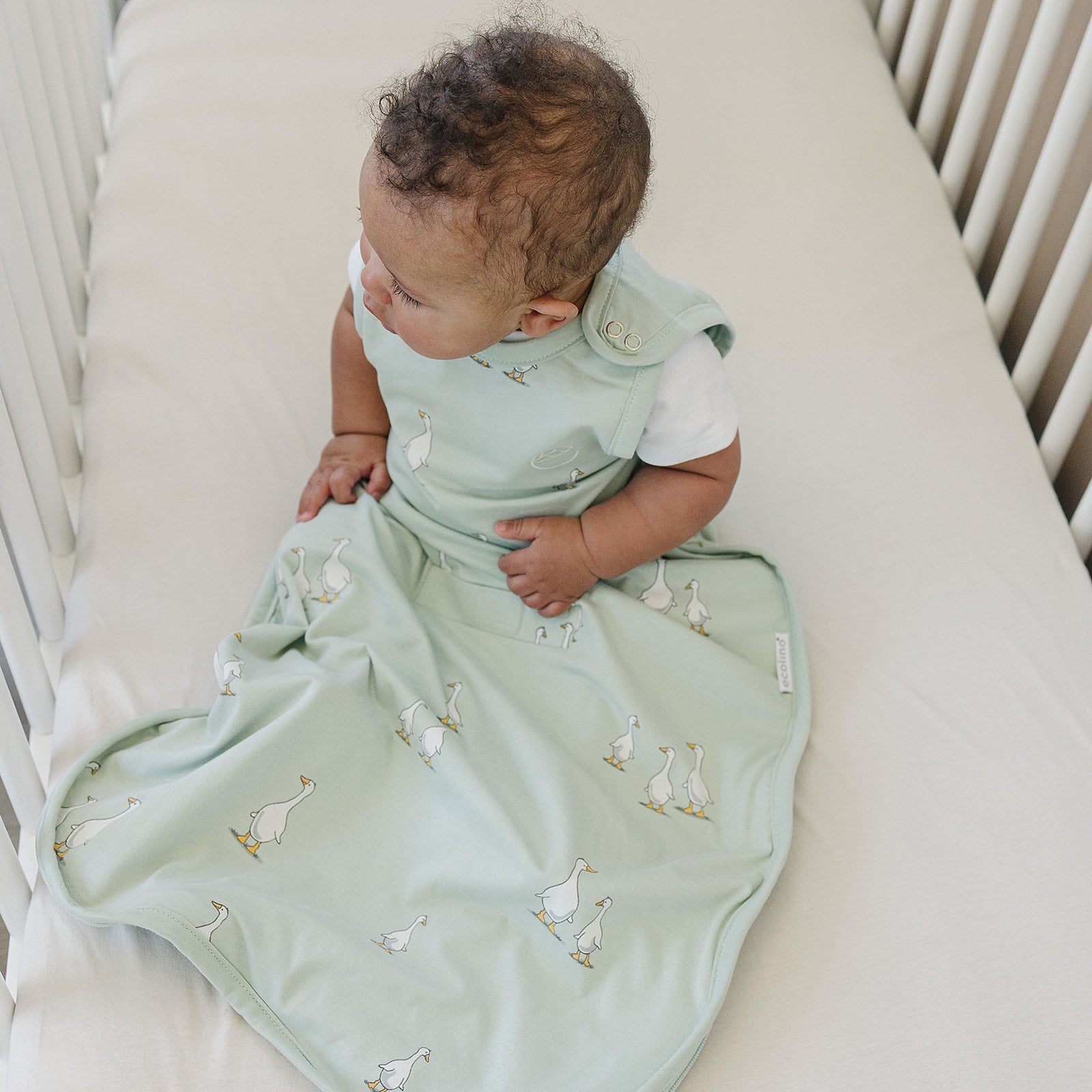 Ecolino® Adjustable Baby Sleep Sack - Organic Cotton, Universal Size 2 Months to 2 Years - Soft & Breathable for Safe Infant Sleeping - Perfect for Nursery, Daycare & Travel
