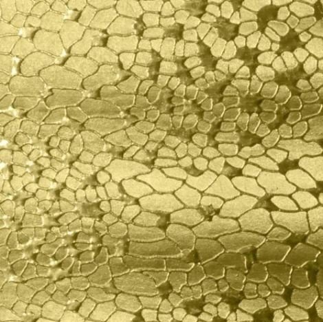 Gold Textured