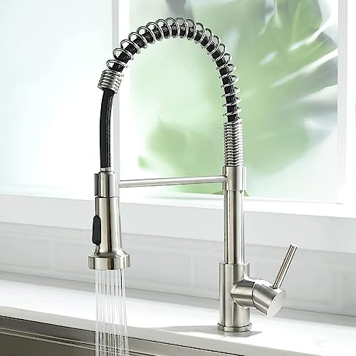 Brushed Nickel - Black Hose