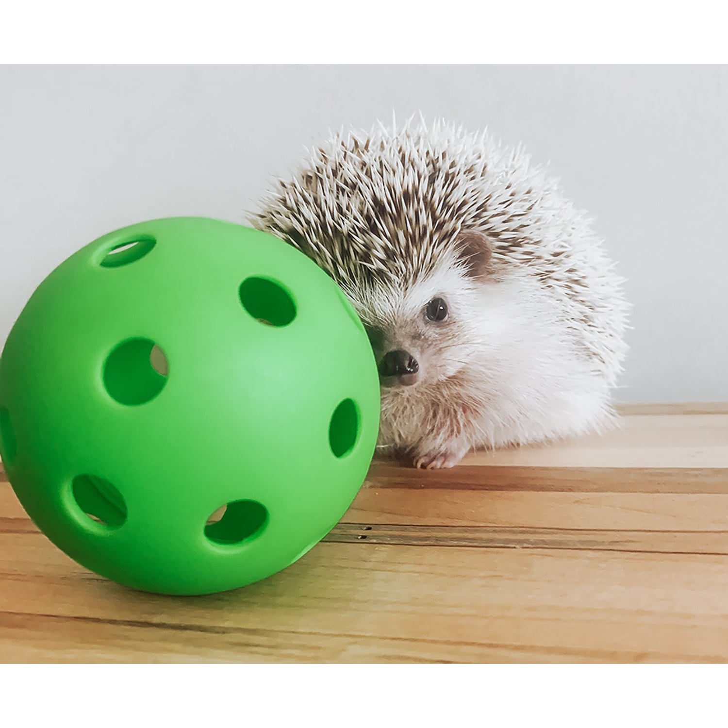 Spiky Hedgehog Ball for Small Pets - Fun Chew Toy for Hamsters, Guinea Pigs & Hedgehogs - Perfect for Playtime & Exercise in Cages