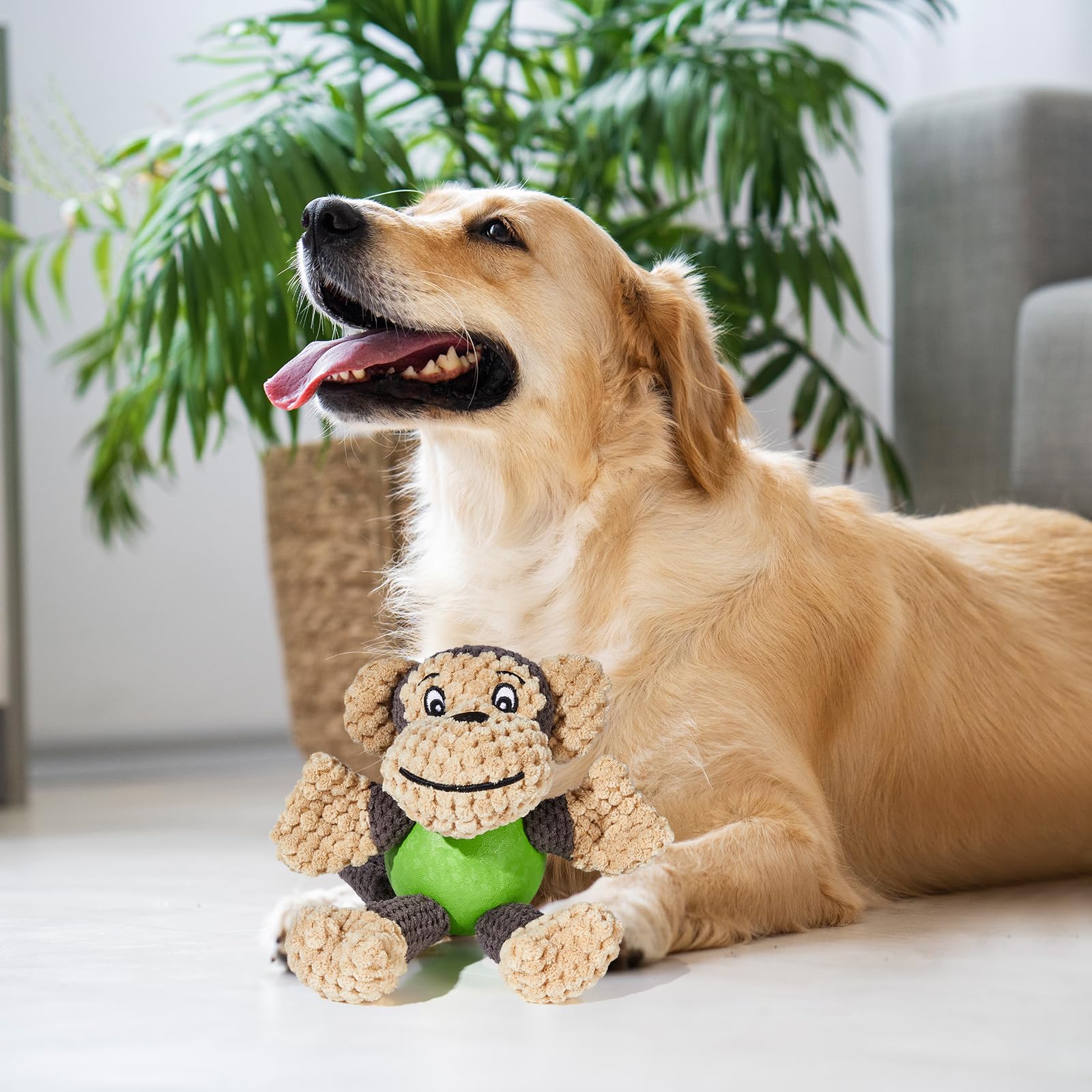 Cute Squeaky Monkey Plush Dog Toys for Small & Medium Dogs - Interactive Puppy Chew Toys with Stuffed Animal for Indoor & Outdoor Play - Grey (Perfect for Teething, Training & Keeping Pets Entertained)