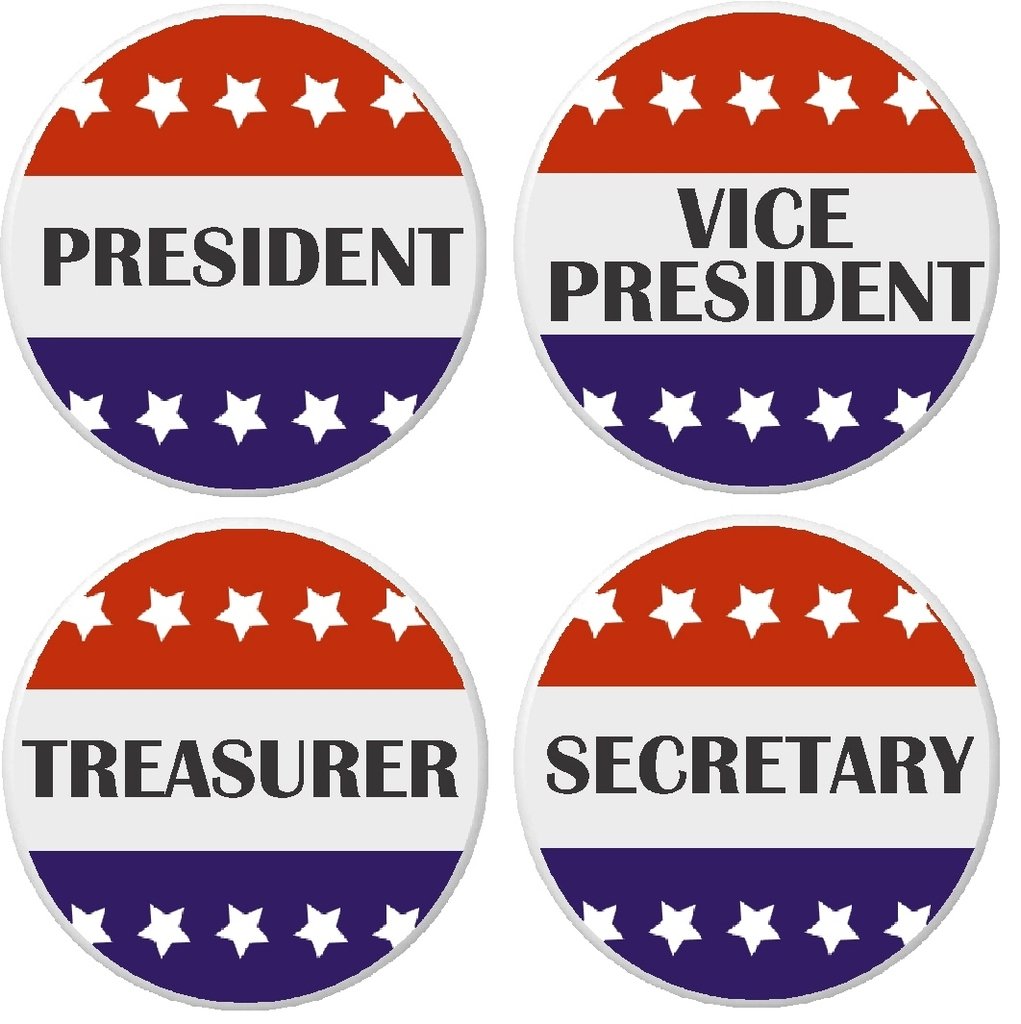 Set of 4 Enamel Lapel Pins - President, Vice President, Treasurer & Secretary - Metal Badge Buttons for Club Elections, School Organizations & Corporate Events