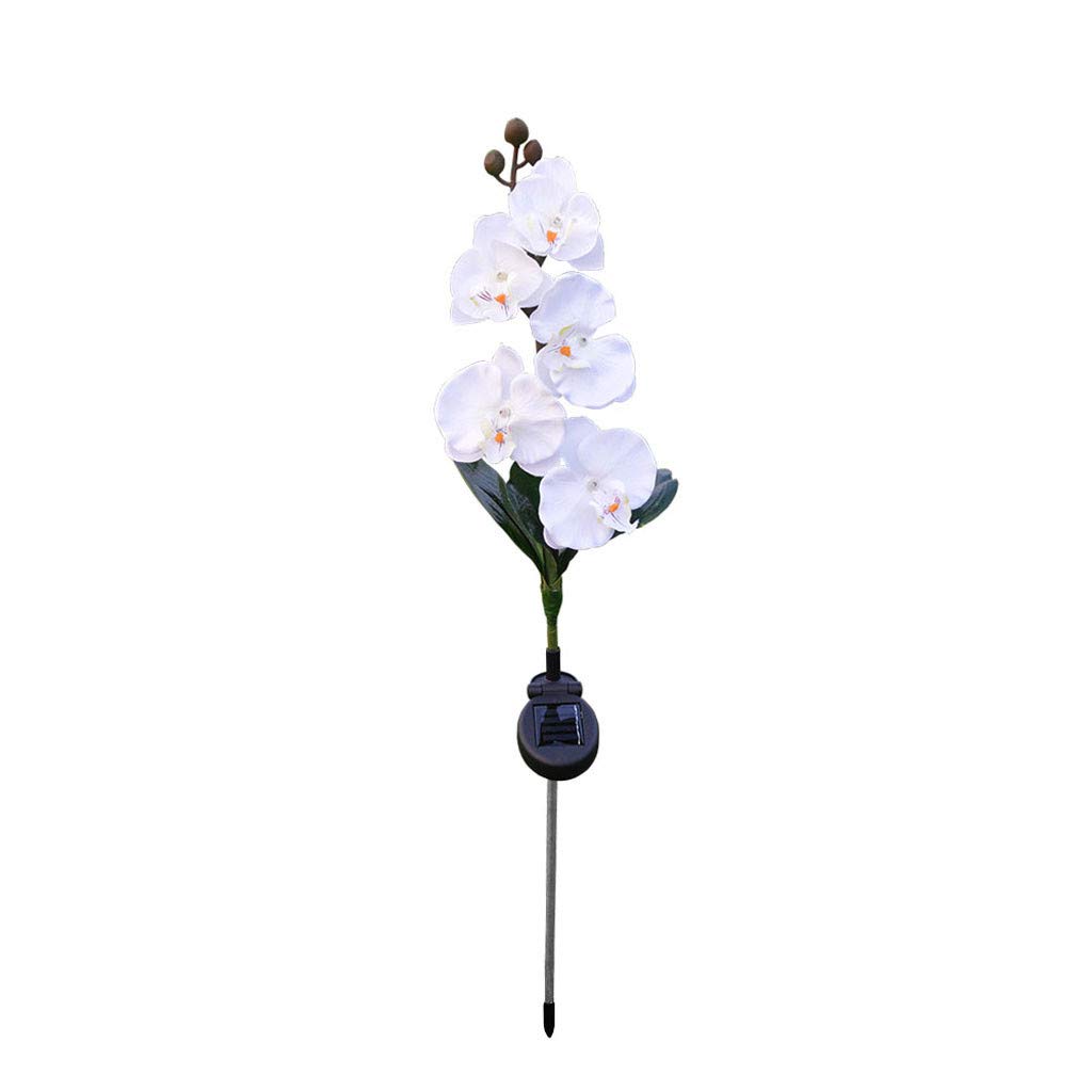 Solar Powered Outdoor Stake Lights - 5 LED Butterfly Orchid Flower Lights for Patio, Yard, Garden Decoration - 29.52 Inch White Solar Garden Lights with Larger Flower & Wider Solar Panel - Perfect for Pathway, Walkway, Lawn & Landscape Lighting