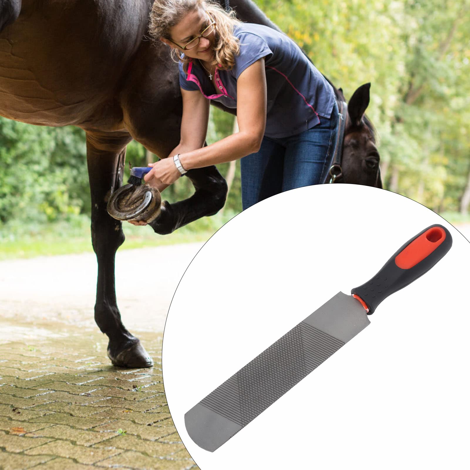 8 Inch Hoof Rasp with Rubber Handle - Professional Farrier File Tool for Horses, Pigs & Goats - Durable Equine Hoof Care Rasp for Trimming, Shaping & Smoothing - Perfect for Stable, Farm & Veterinary Use