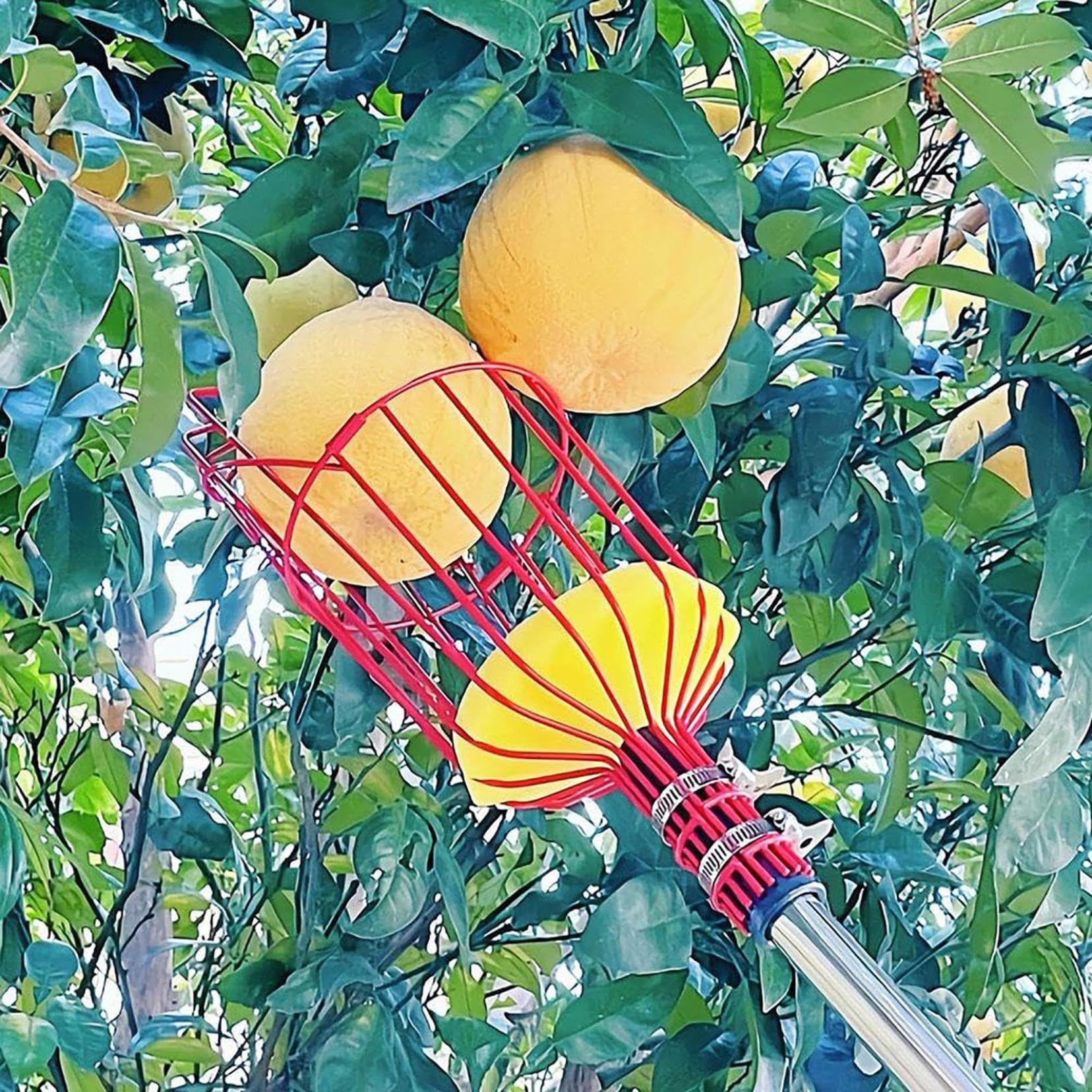 Premium Fruit Picker Basket with Soft Cushion - Gentle Harvesting Tool for Apples, Oranges, Plums & More | Perfect for Orchards, Home Gardens & Farmers Markets