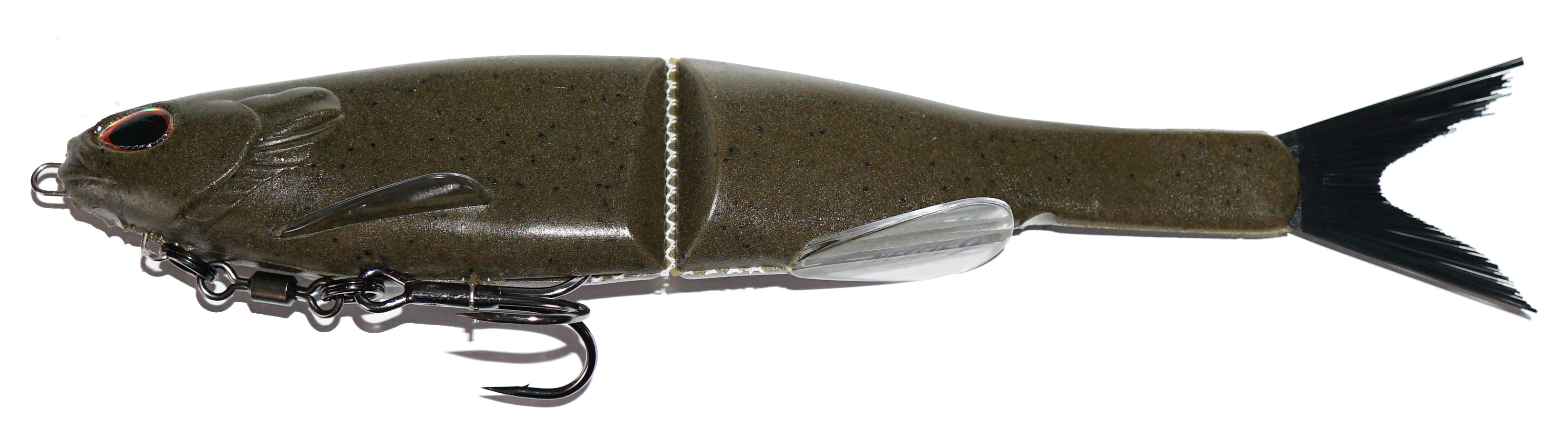 Golden Shiner