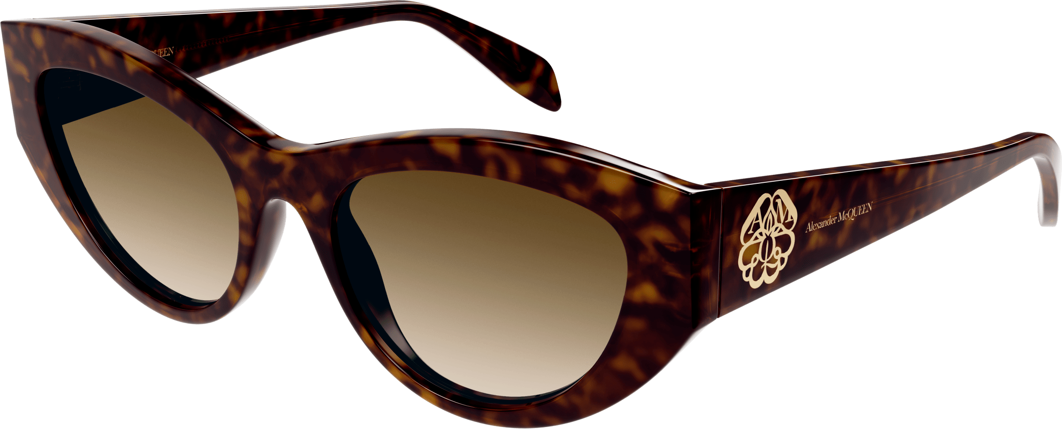 AM0377S-002 - HAVANA - BROWN