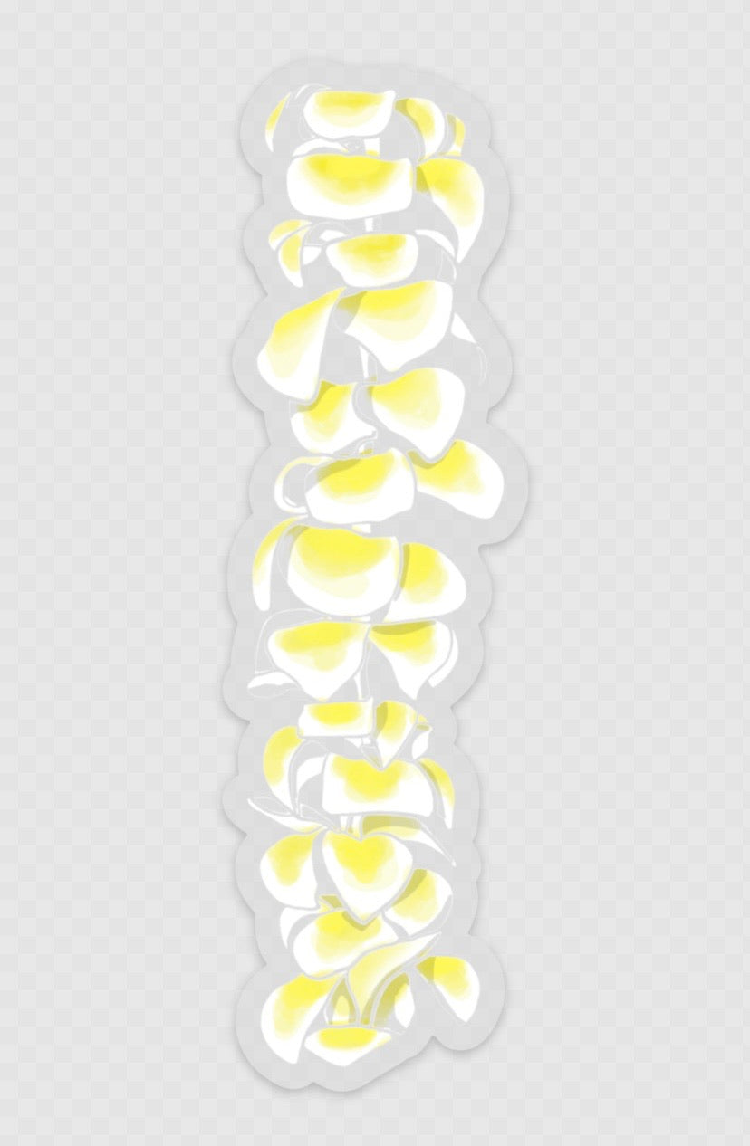 Hawaiian Pua Melia Lei - Traditional Flower Necklace for Women & Men - Perfect for Luau Parties, Weddings, and Hawaiian Themed Events