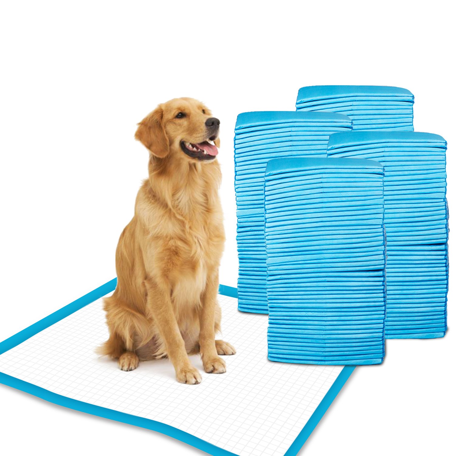 Petfamily Super-Absorbent 24x24 Inch Dog Training Pads - 100 Count | Leakproof Puppy Pee Pads for Housebreaking, Crate Training & Senior Dogs | Indoor/Outdoor Use