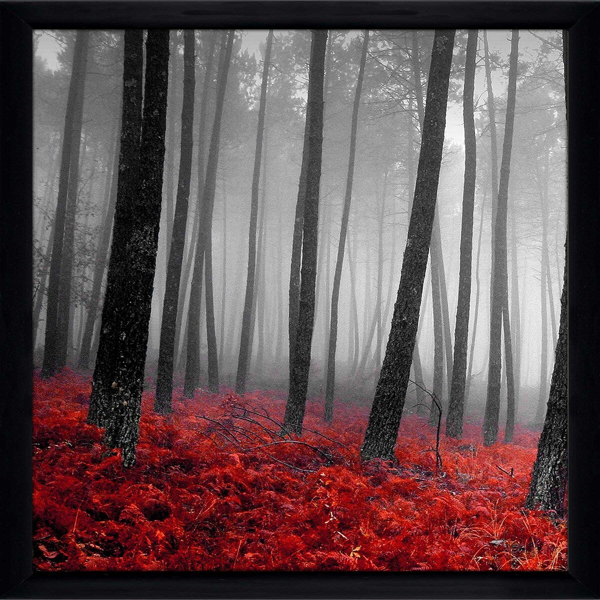 47 Autumn Woods Landscape Print on Acrylic - Premium Wall Art Decor for Living Room, Bedroom & Office | PhotoINC Studio