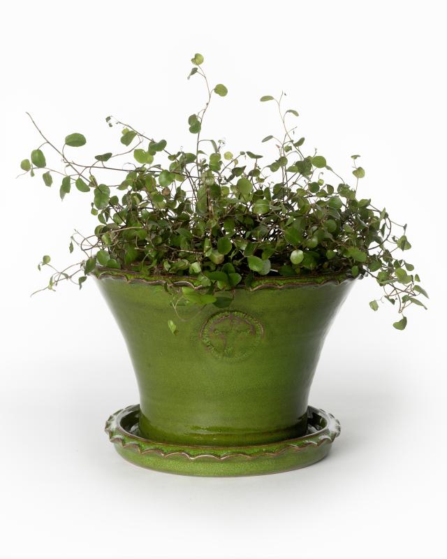 Kruka Sturehof Liljencrantz 20cm Green Ceramic Flower Pot - Perfect for Indoor Plants, Succulents, and Home Decor