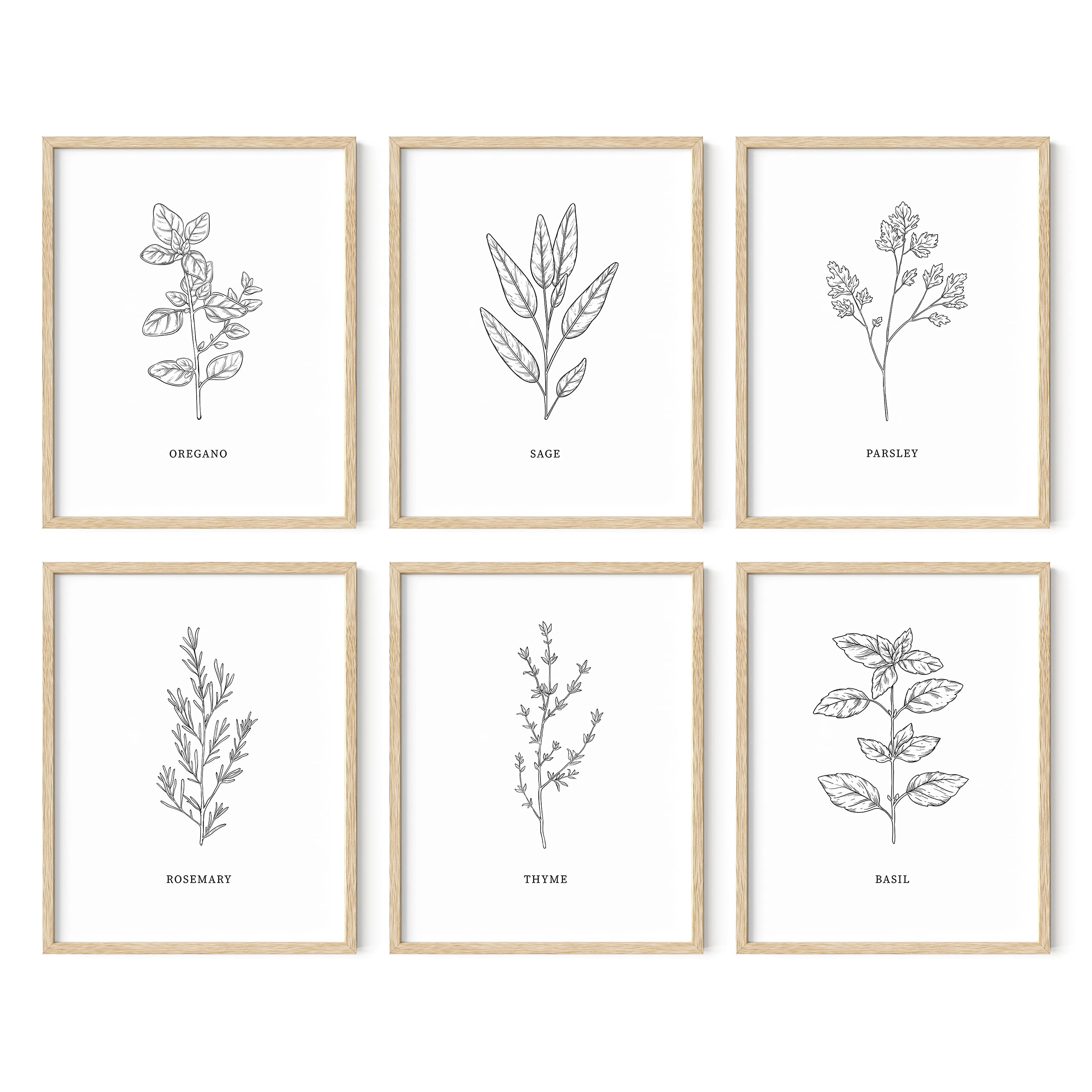 HAUS AND HUES Set of 6 Floral & Botanical Wall Art Prints - 11x14 Beige Framed Plant Posters, Flower Art for Home Decor | Perfect for Living Room, Bedroom, Office & Nursery Wall Decor