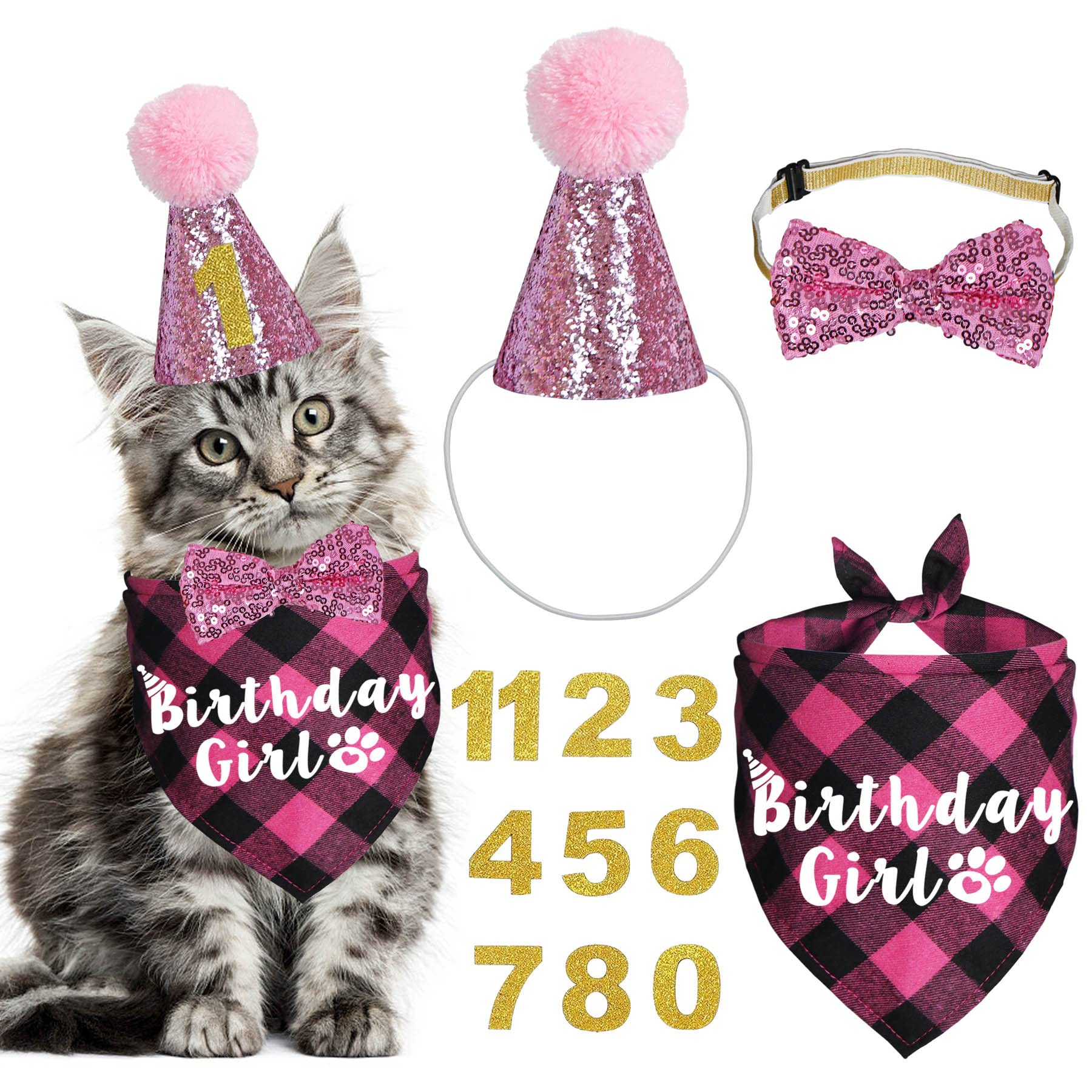 Cat Birthday Party Supplies & Outfits - Bandanas, Hat, Bow Tie for Kitten Birthday Decor (Pink) - Perfect for Pet Celebrations