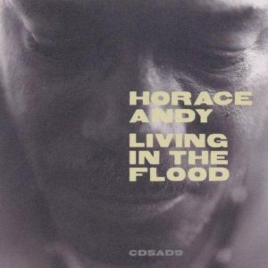 Living in the Flood by Andy Horace - Inspirational Novel About Survival & Resilience | Perfect for Book Clubs, Gifts & Flood Survival Stories