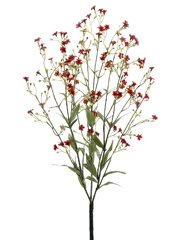 18 Inch Red Geranium Bush Plants - Pack of 12 Fresh Garden Flowers for Outdoor Landscaping, Patio Decor & Window Box Planting