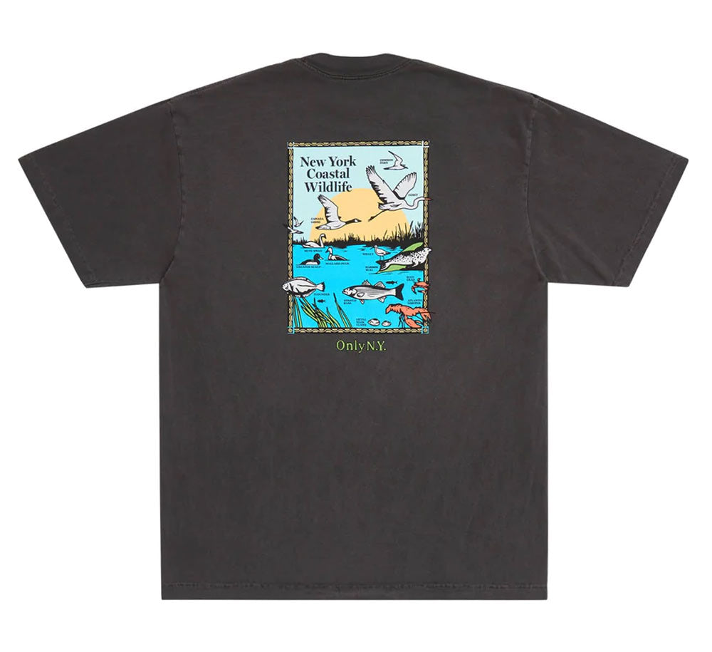 Coastal Wildlife Graphic Tee - Soft Cotton T-Shirt with Nature Animal Prints | Perfect for Beach Outings, Casual Wear & Outdoor Adventures