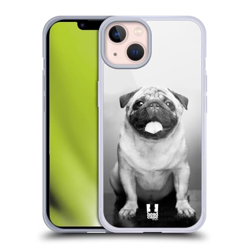 Cute Male Pug