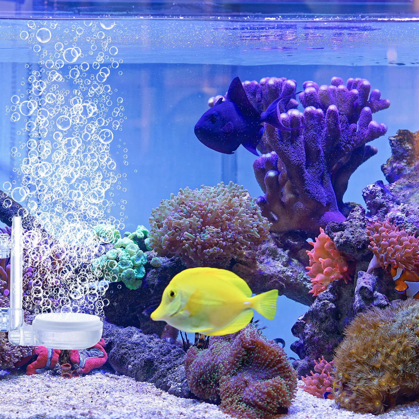 2 Pack Quiet Aquarium Air Stone Kit for Fish Tanks - Nano Bubble Diffuser with Air Pump, Control Valve & Suction Cups | Oxygenation for Small to Medium Aquariums, Betta Fish Tanks, Hydroponics & Pond Aeration