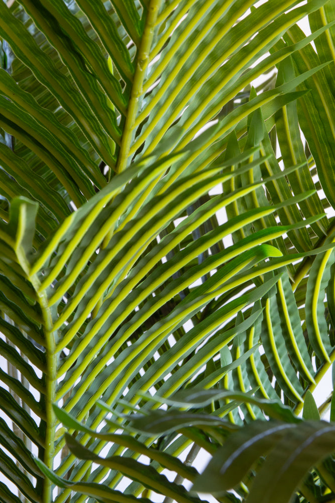 Large Artificial Palm Tree for Home & Office Decor - Perfect for Indoor and Outdoor Use, Parties, and Tropical Themed Events