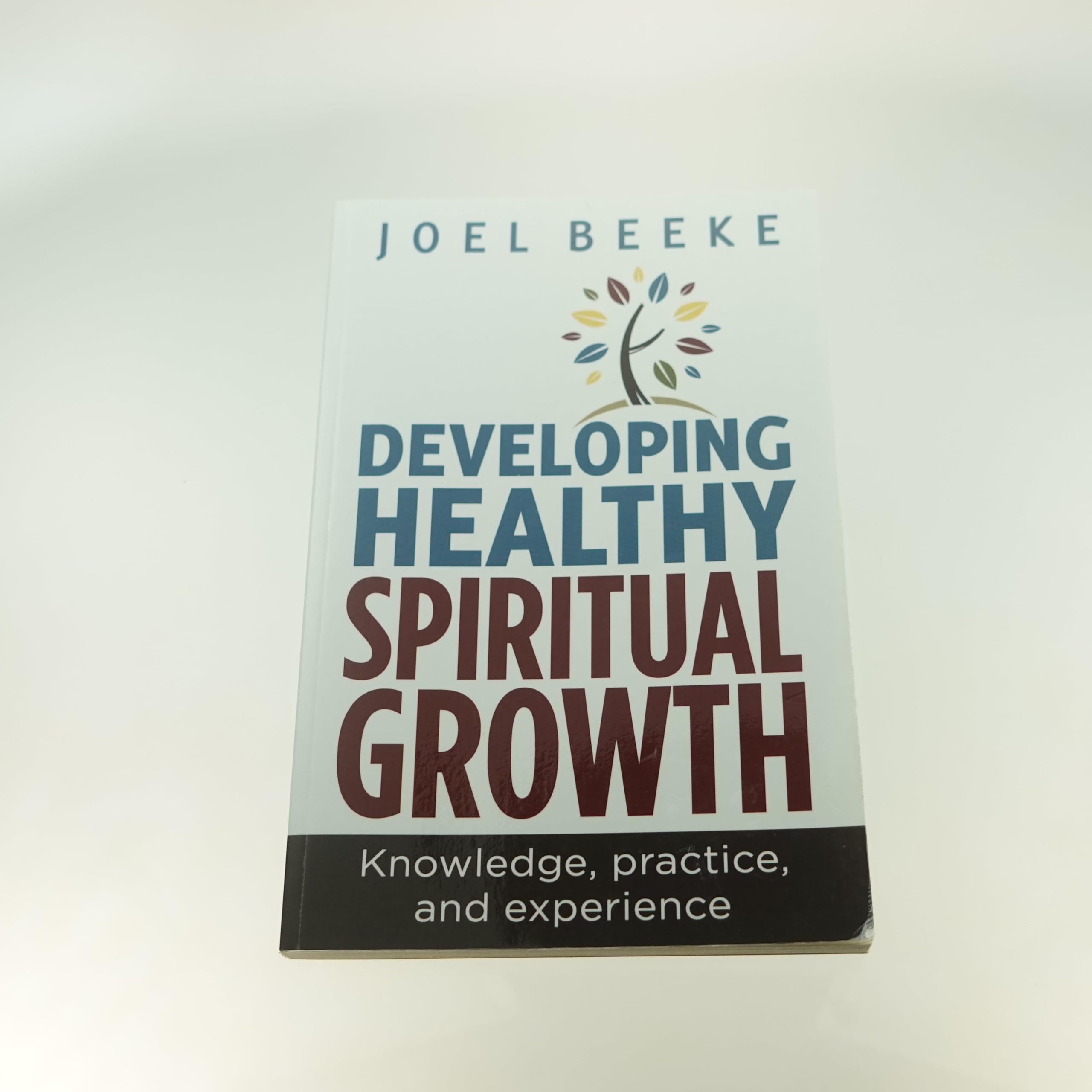 Developing Healthy Spiritual Growth: Guide to Knowledge, Practice & Experience for Personal Development & Mindfulness