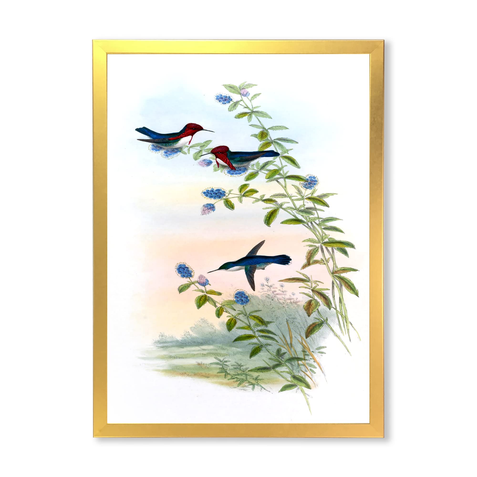 Vintage Hummingbird II Traditional Framed Wall Art - Hand Painted Nature Home Decor for Living Room, Bedroom & Office - Perfect Gift for Bird Lovers