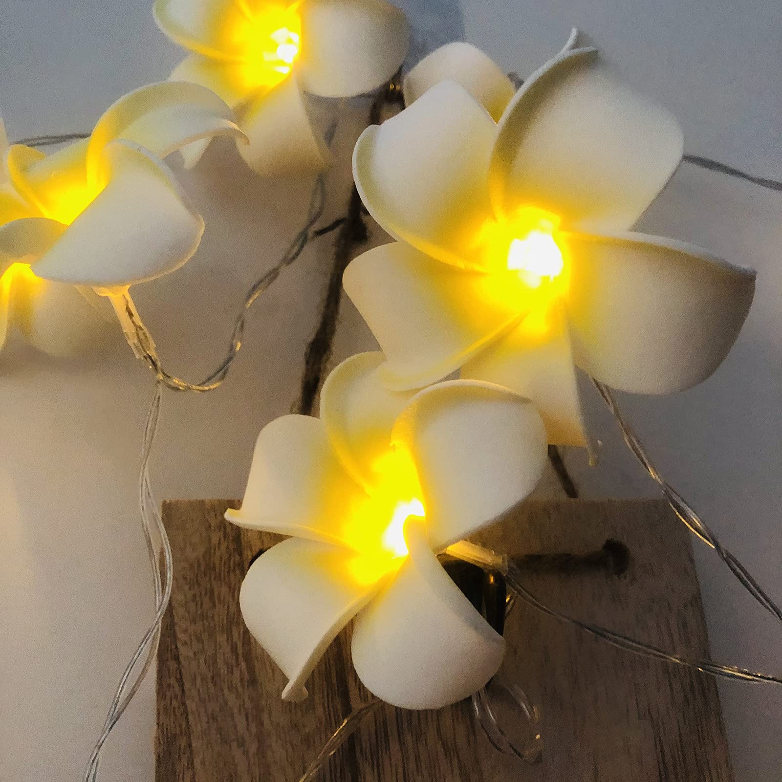 Battery Powered Artificial Plumeria String Lights - 40LED White Frangipani Flower Garland for Wedding, Beach Party, Garden & Patio Decor - Waterproof Fairy Lights for Outdoor & Indoor Use
