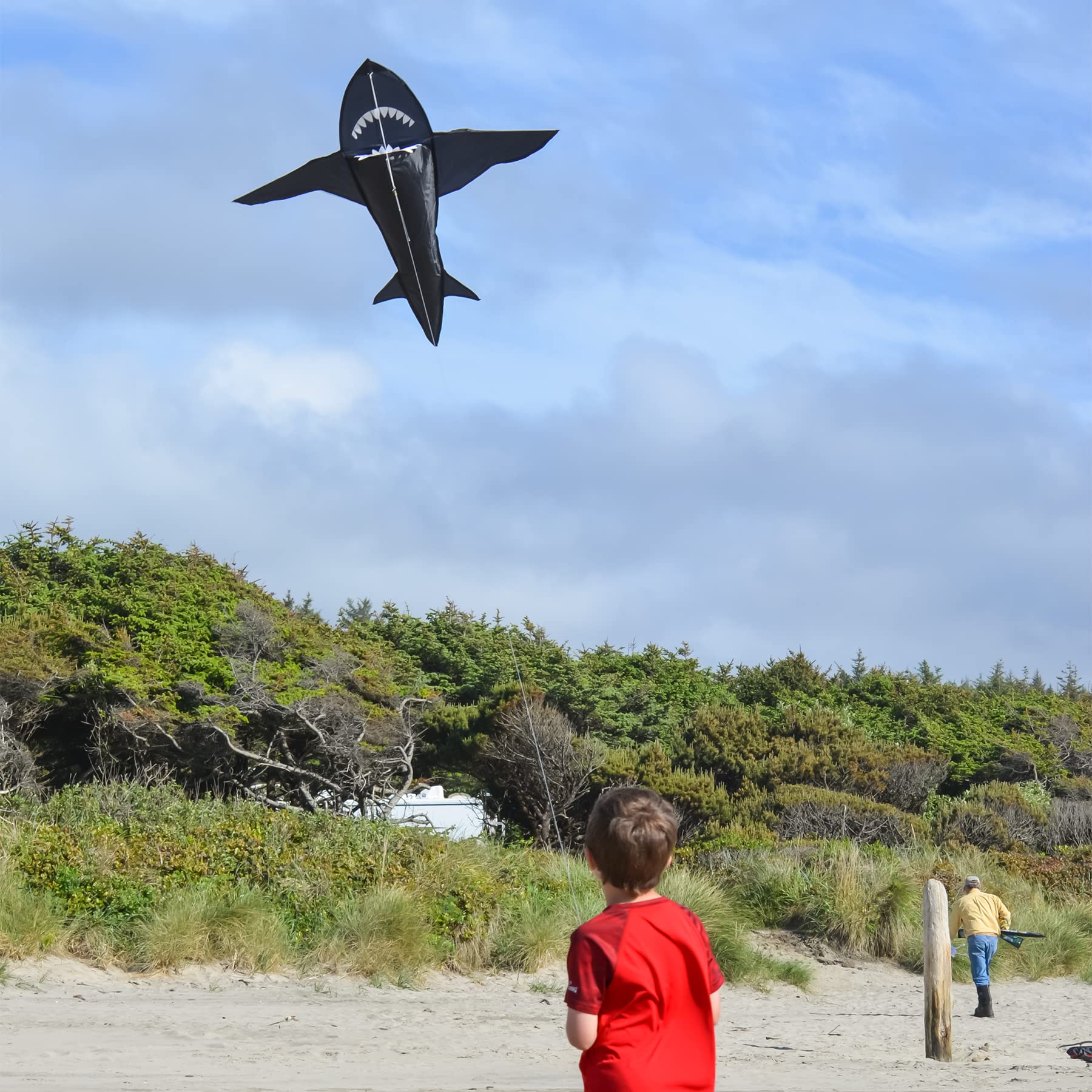 4 Foot 3D Black Shark Kite - Realistic Flying Kite for Beach, Park & Outdoor Activities - Perfect for Kids and Adults - Great for Family Fun, Festivals and Windy Days